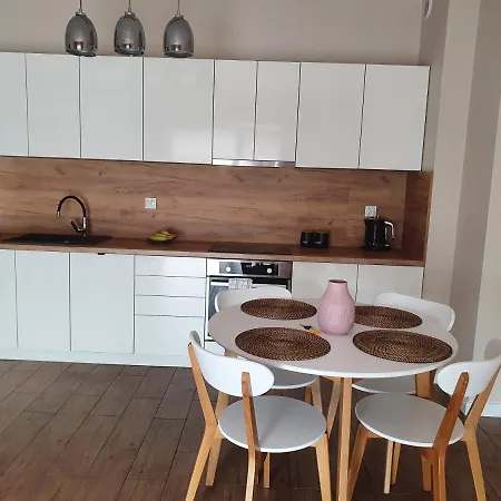 Zamiejska Modern Nowy Apartamentowiec Winda